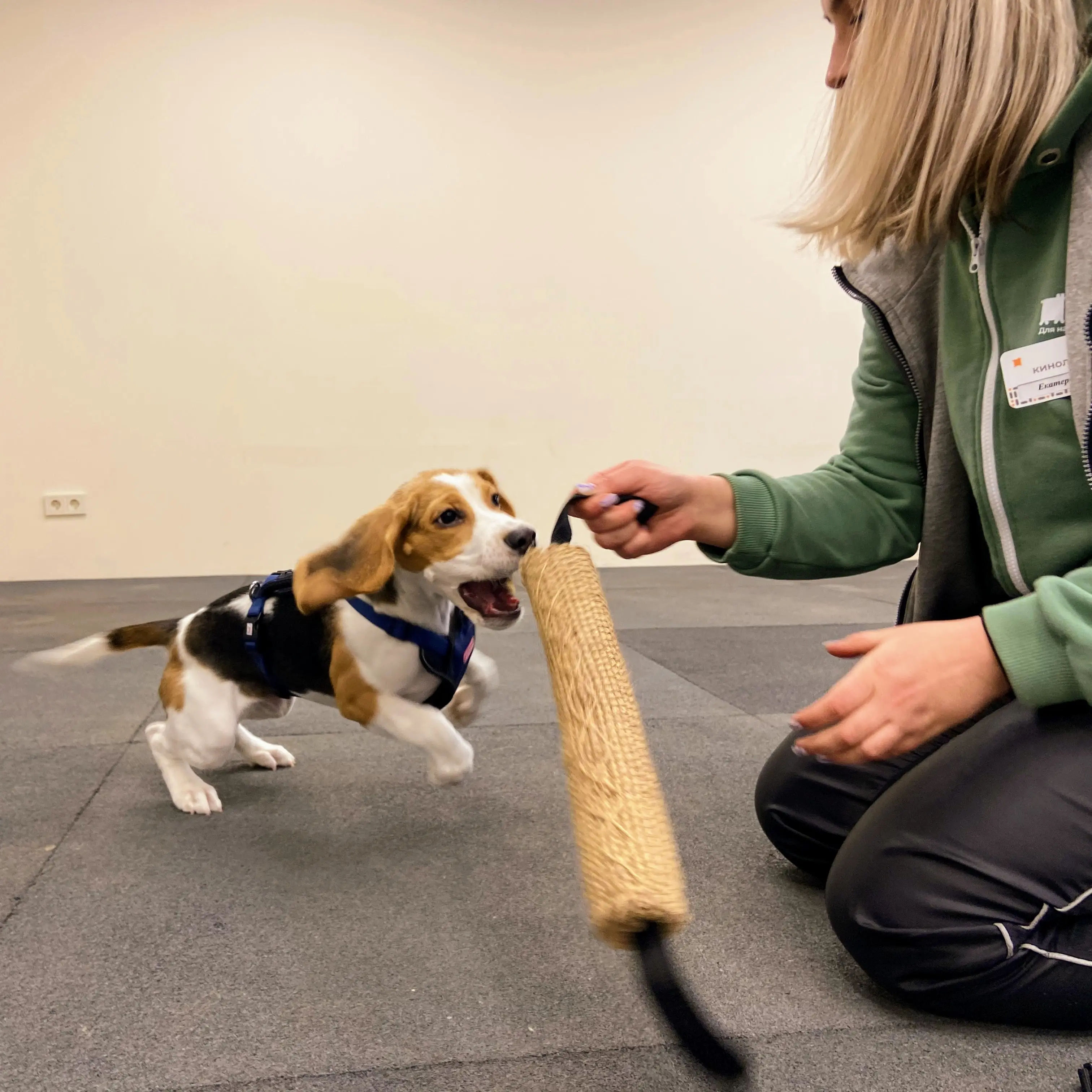 Фото питомца 3