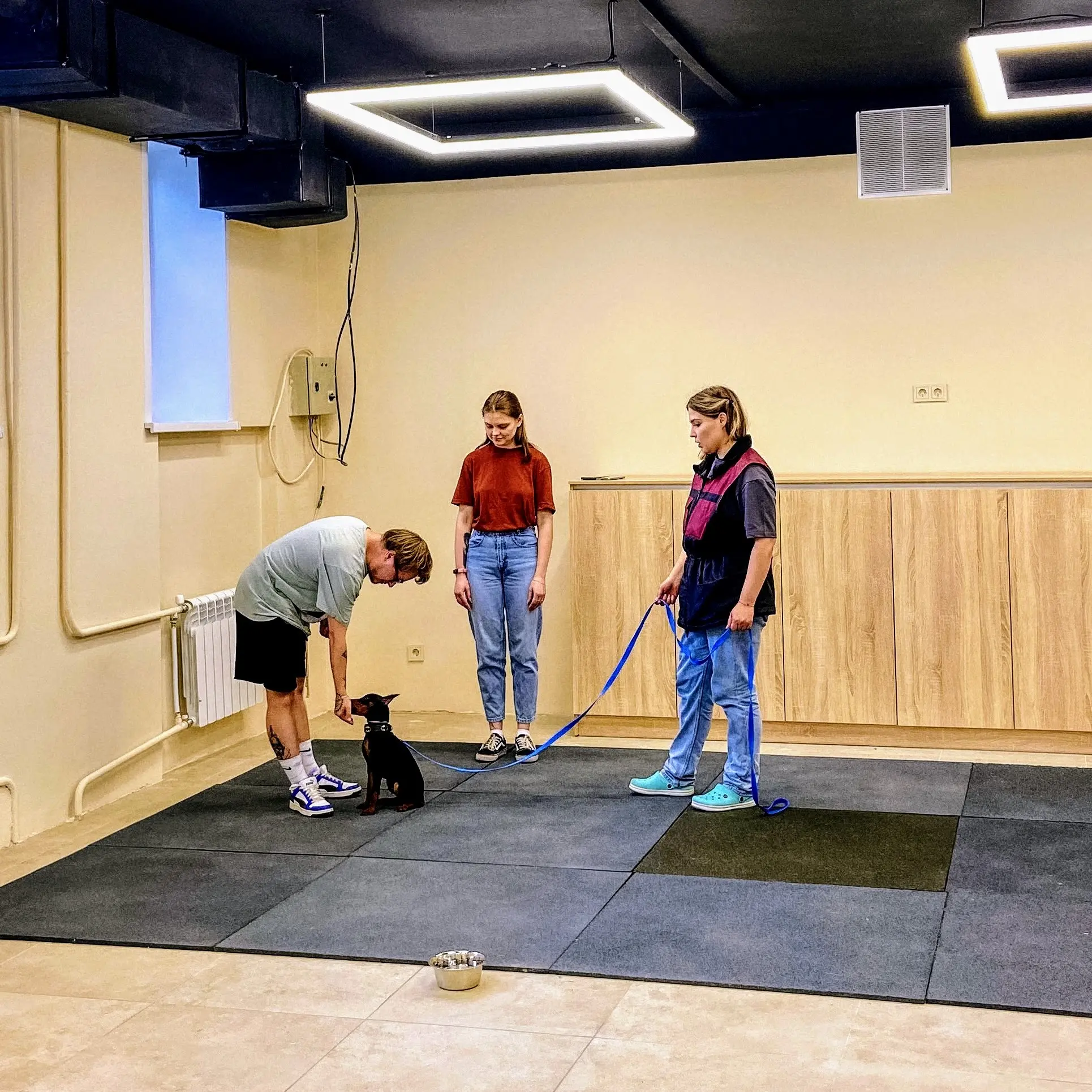 Фото питомца 4