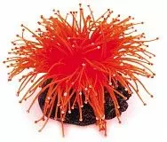 Декор для аквариумов Коралл Dezzie 14*14*9 см резина пластик оранжевый