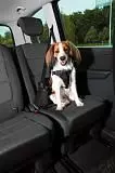 Шлейка к ремню безопасности в автомобиле для собак Trixie 12855 S–M 40–55 см/20 мм черный
