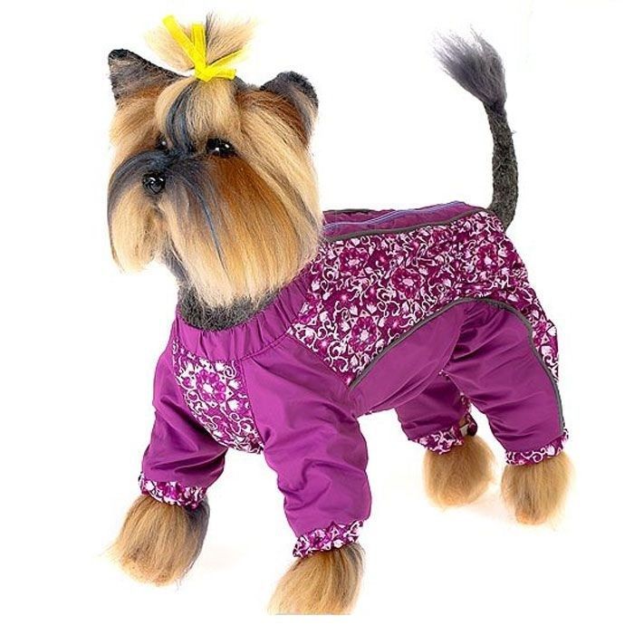 Одежда Для Йорков Девочек Интернет Магазин