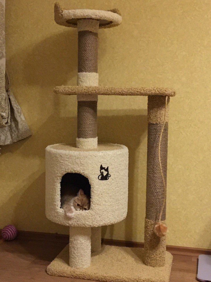 когтеточка домик для кошек