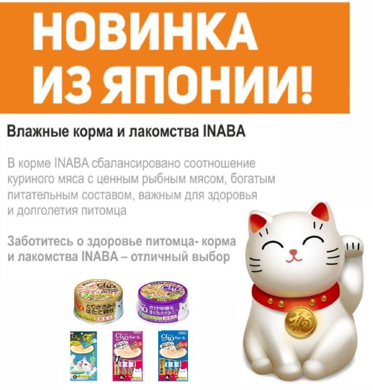 Купить Корма Inaba В Интернет Магазине