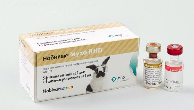 Вакцина кроликам от миксоматоза и вгбк. Вакцина Нобивак myxo RHD для кроликов. Вакцина ВГБК+миксоматоз. Вакцина против миксоматоза кроликов. Нобивак рабиес для кроликов.