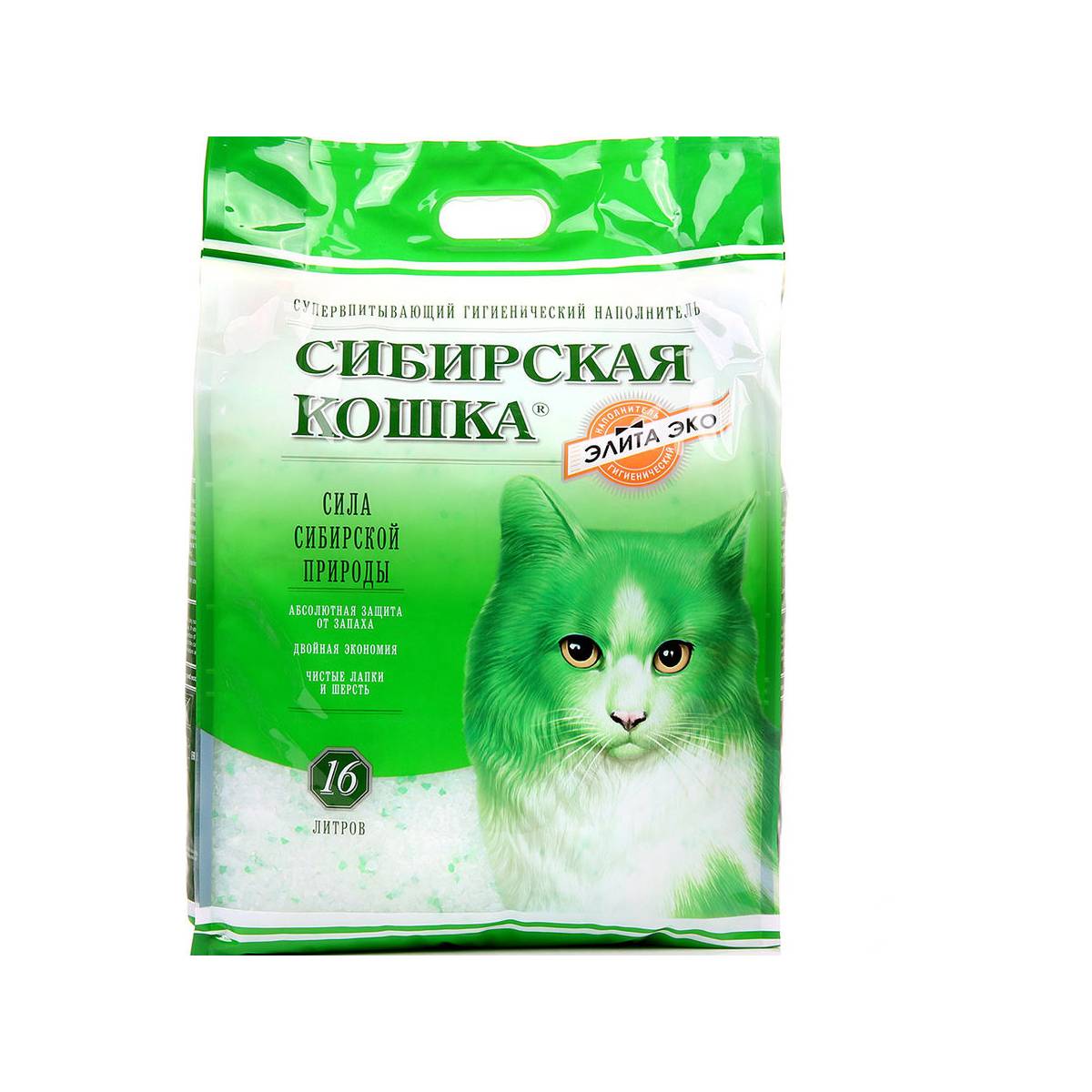 сибирская кошка 24 л