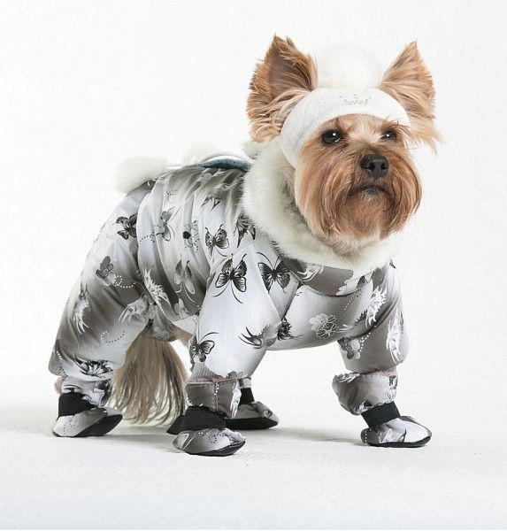 Грумер Ру Интернет Магазин Москва