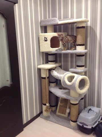 домики когтеточки для кошек екатеринбург