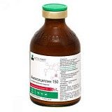Антибактериальный препарат для кошек и собак Нита-Фарм Амоксициллин 150 50 мл