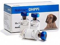 Вакцина для собак Нобивак DHP-Pi против чумы плотоядных, парвовирусного энтерита, аденовирусной инфекции и парагриппа, 1 ампула